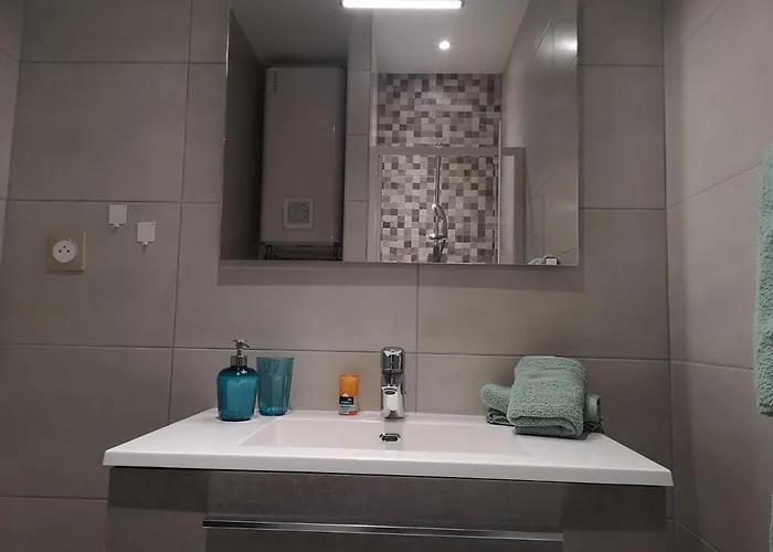 Le Wilson - Centre-ville - Gare - Tram Appartement *