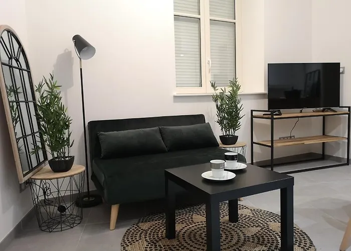 Le Wilson - Centre-ville - Gare - Tram Appartement Mulhouse