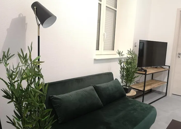 Appartement Le Wilson - Centre-ville - Gare - Tram Mulhouse
